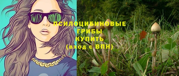 винт Костерёво