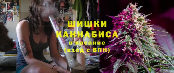 винт Костерёво